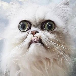 Meet your Posher, Billy Nye the sneaker guy